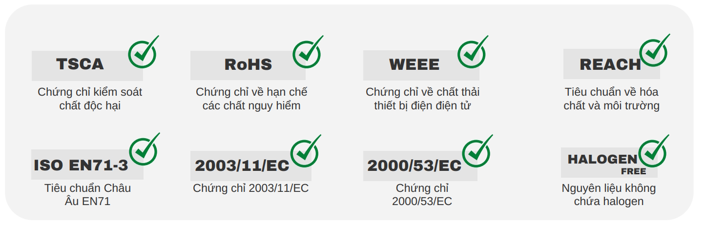 chungchichatluongricoh-12