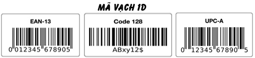ma-vach-1d-1